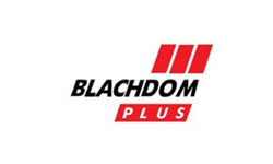 Blachdom plus - producent blach dachówkowych, blach modułowych, paneli dachowych na rąbek, blach trapezowych, dachówek ceramicznych i obróbki blacharskiej