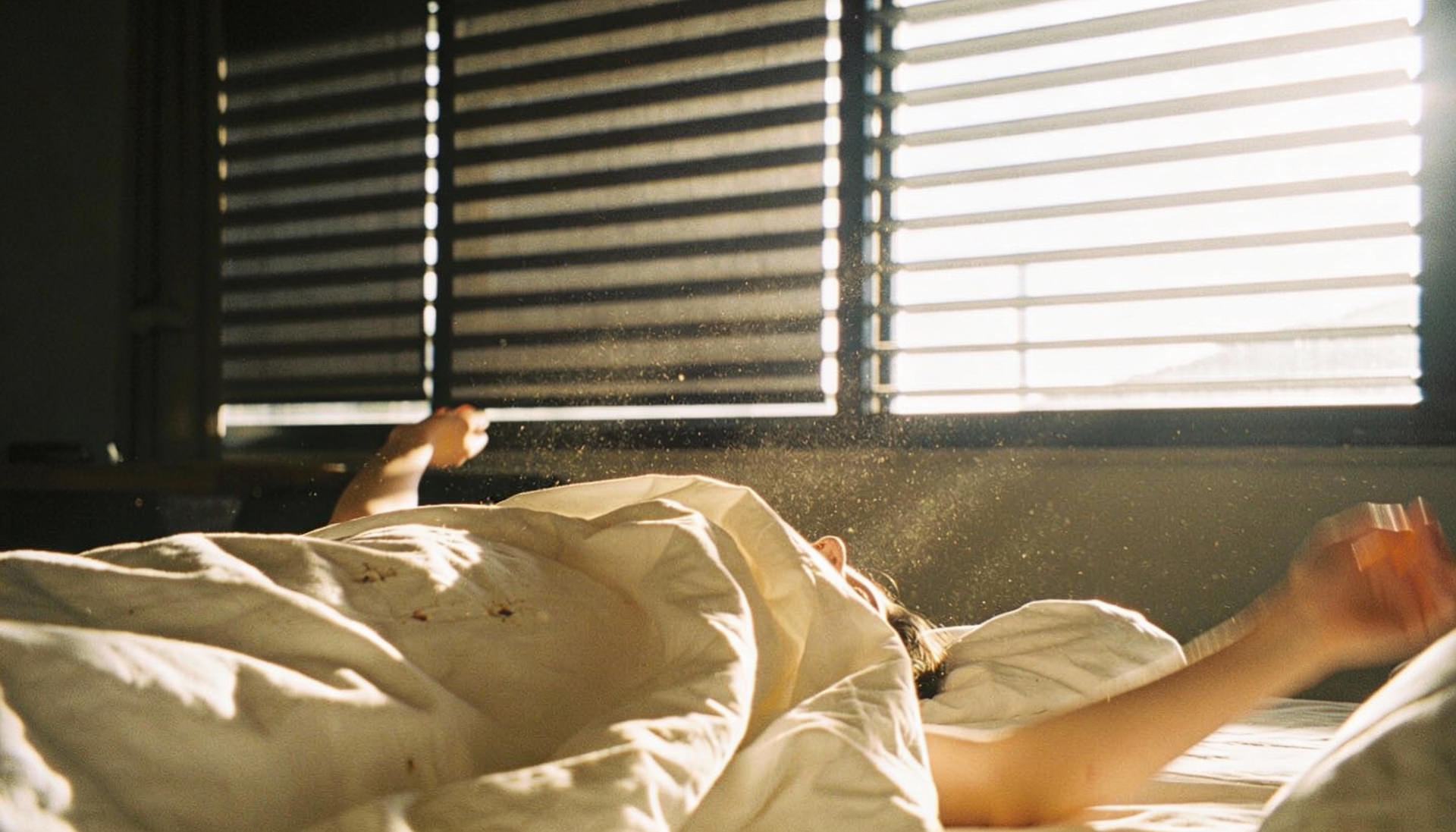 Dom szkieletowy Instalacja Smart Home